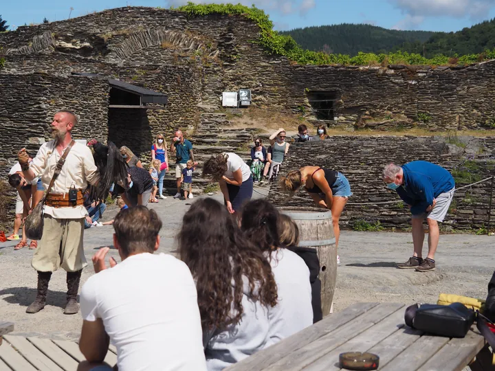 Birds of prey show at Chateau de La Roche-en-Ardenne (Belgium)